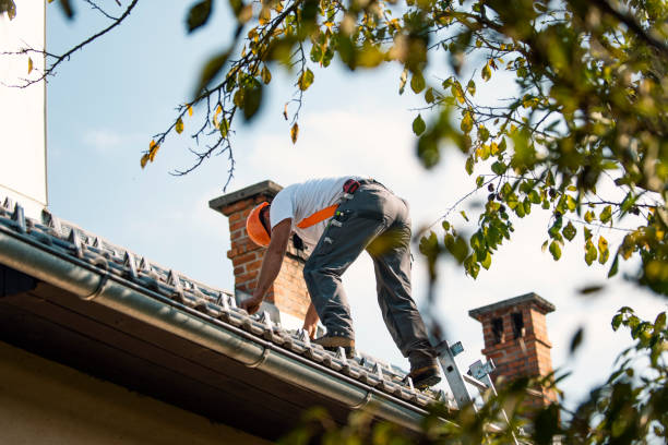Best Roof Gutter Cleaning  in Portland, IN
